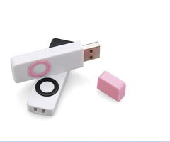 rjplastic USB閃存盤 15元高性價比電子產(chǎn)品的研發(fā)與銷售策略